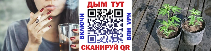 Купить закладку Alpha-PVP  Меф  ГАШИШ  МАРИХУАНА  Горняк