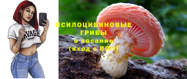 гидропоника Краснослободск