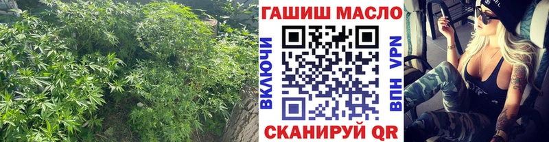 Дистиллят ТГК концентрат  Купить где  Горняк 